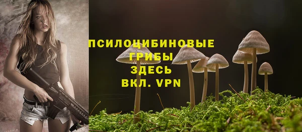 скорость mdpv Горнозаводск