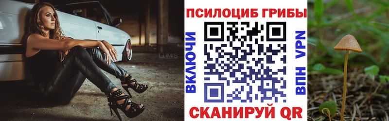 Псилоцибиновые грибы Cubensis  Купить где  Нарткала 